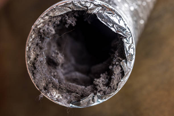 Best Air Duct Cleaning Near Me  in Burwell, NE