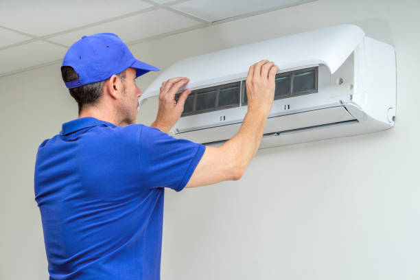 Best Air Duct Sanitizing Services  in Burwell, NE